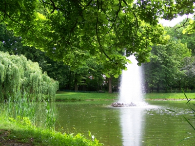Teich mit Springbrunnen im Grünen