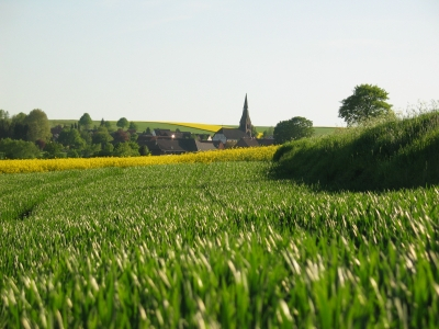 Landschaft mit Maisfeld